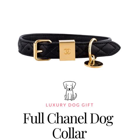 chanel collar brooch|Chanel dog collar and leash.